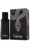French Avenue Vulcan Black Friday Edition EDP 100 ML Unisex Parfüm ARC