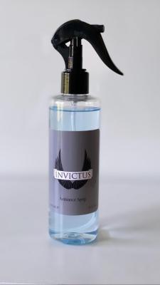 paco rabanne ınvıctus oda kokusu